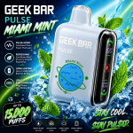 Geek Bar Pulse Disposable Vape – Miami Mint | Cool Mint Flavor | Dual Mode | Rechargeable | Up to 15,000 - 25,000Puffs 5qty Box